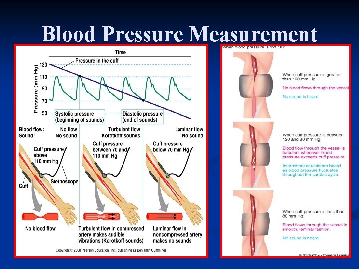 Blood Pressure Measurement 
