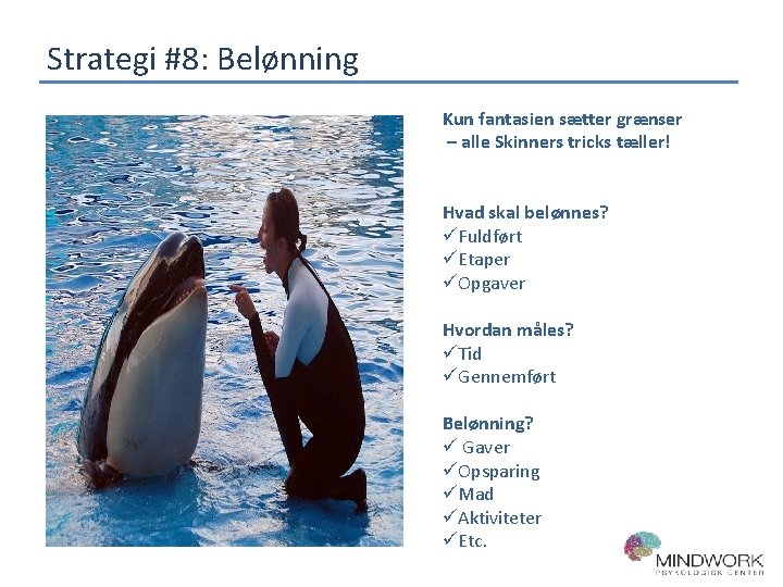Strategi #8: Belønning Kun fantasien sætter grænser – alle Skinners tricks tæller! Hvad skal