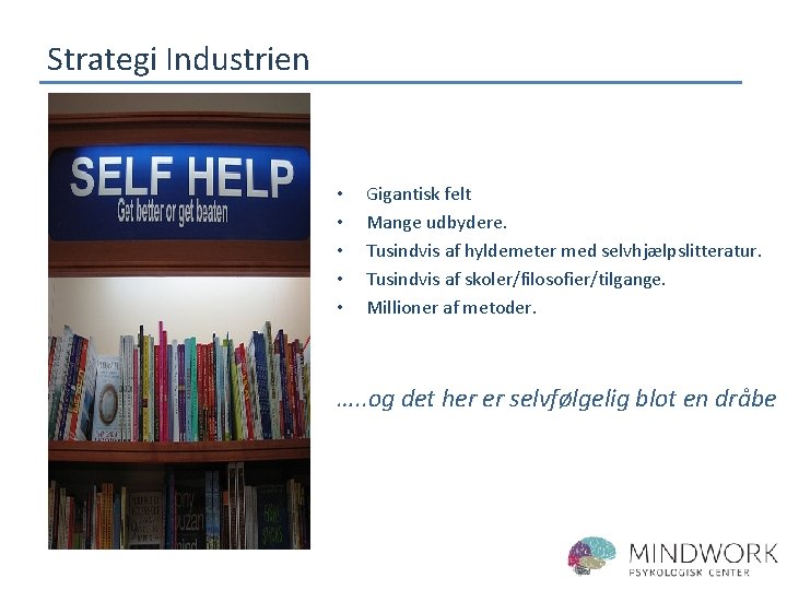 Strategi Industrien • • • Gigantisk felt Mange udbydere. Tusindvis af hyldemeter med selvhjælpslitteratur.
