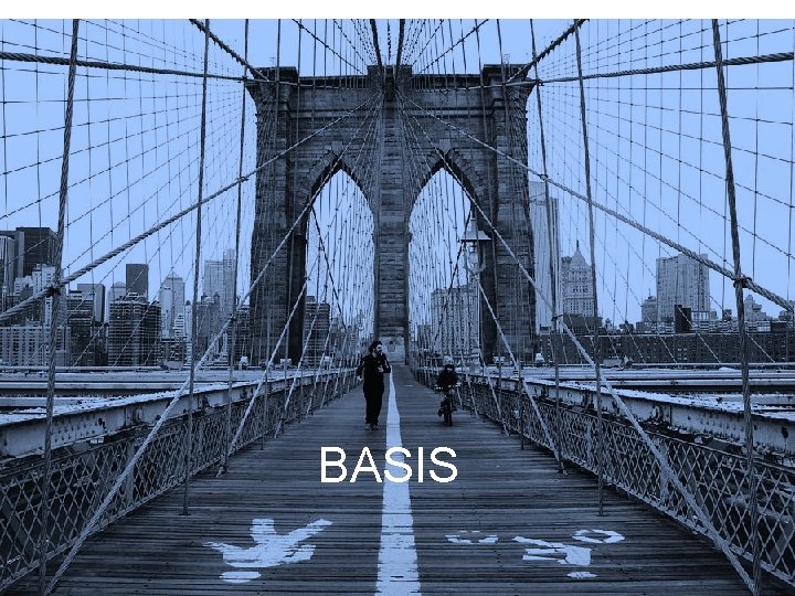 BASIS 