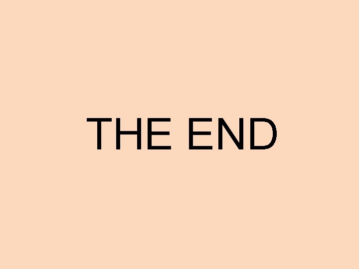 THE END 