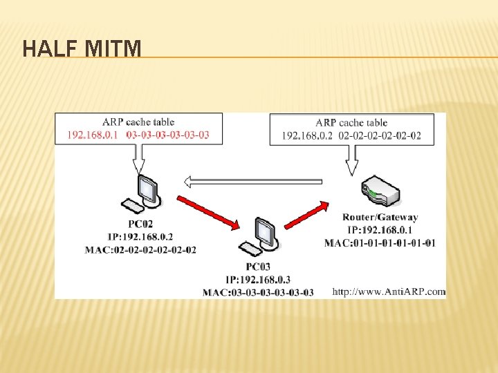HALF MITM HALF MITM