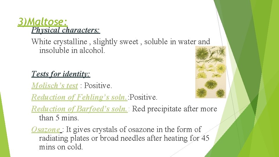 3)Maltose: Physical characters: White crystalline , slightly sweet , soluble in water and insoluble