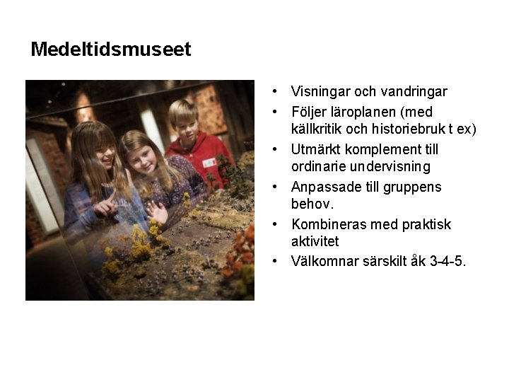 Medeltidsmuseet • Visningar och vandringar • Följer läroplanen (med källkritik och historiebruk t ex)