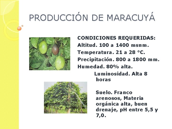 PRODUCCIÓN DE MARACUYÁ CONDICIONES REQUERIDAS: Altitud. 100 a 1400 msnm. Temperatura. 21 a 28
