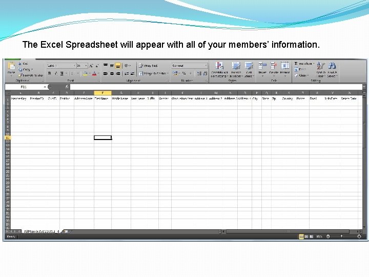 The Excel Spreadsheet will appear with all of your members’ information. 