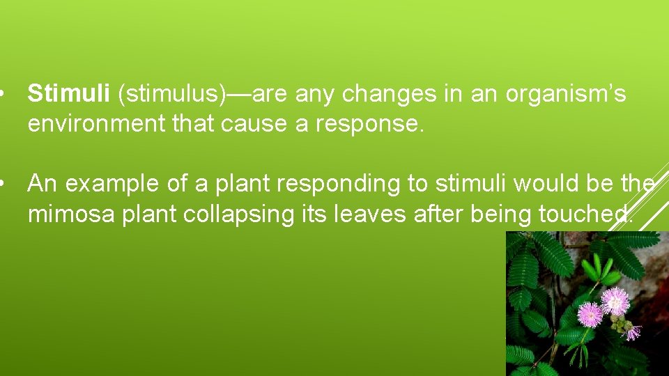  • Stimuli (stimulus)—are any changes in an organism’s environment that cause a response.