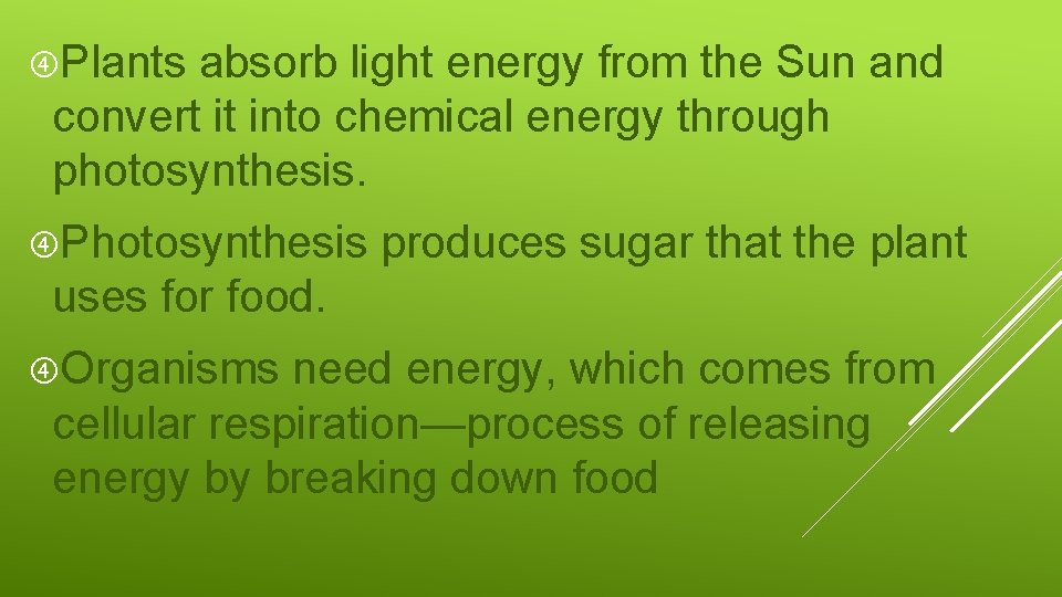  Plants absorb light energy from the Sun and convert it into chemical energy