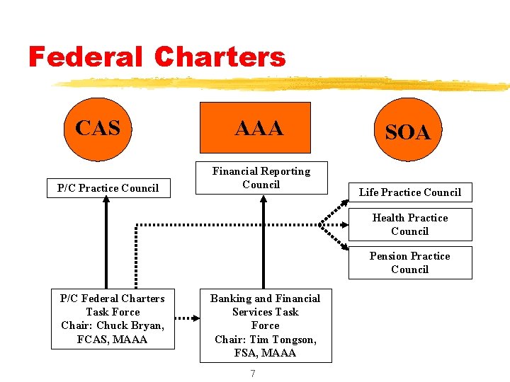 Federal Charters CAS P/C Practice Council AAA Financial Reporting Council SOA Life Practice Council