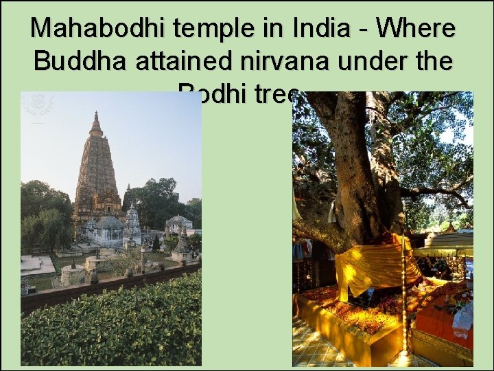 Mahabodhi temple in India - Where Buddha attained nirvana under the Bodhi tree. 