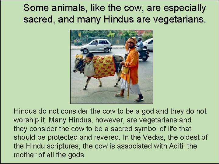 Some animals, like the cow, are especially sacred, and many Hindus are vegetarians. Hindus