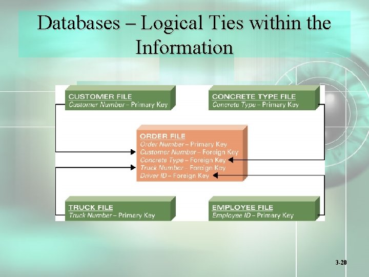 Databases – Logical Ties within the Information 3 -20 