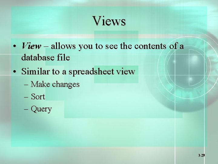Views • View – allows you to see the contents of a database file