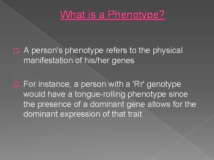 What is a Phenotype? � A person's phenotype refers to the physical manifestation of