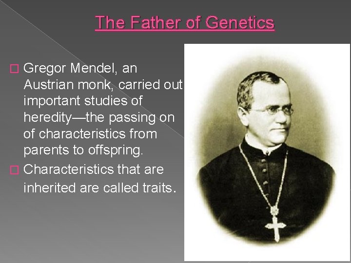 The Father of Genetics Gregor Mendel, an Austrian monk, carried out important studies of
