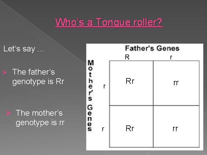 Who’s a Tongue roller? Let’s say … R Ø The father’s genotype is Rr