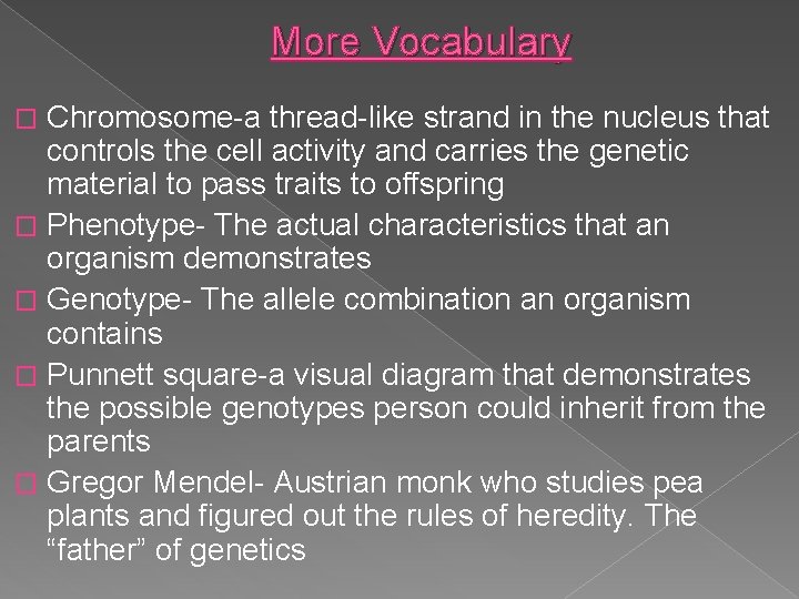 More Vocabulary Chromosome-a thread-like strand in the nucleus that controls the cell activity and