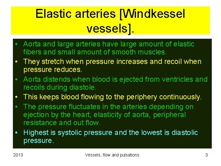 Elastic arteries [Windkessel vessels]. • Aorta and large arteries have large amount of elastic