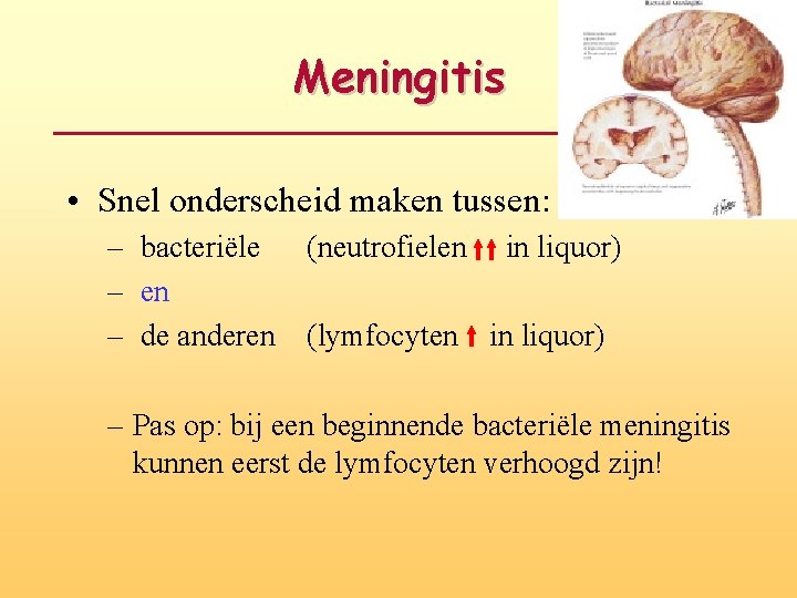 Meningitis • Snel onderscheid maken tussen: – bacteriële – en – de anderen (neutrofielen