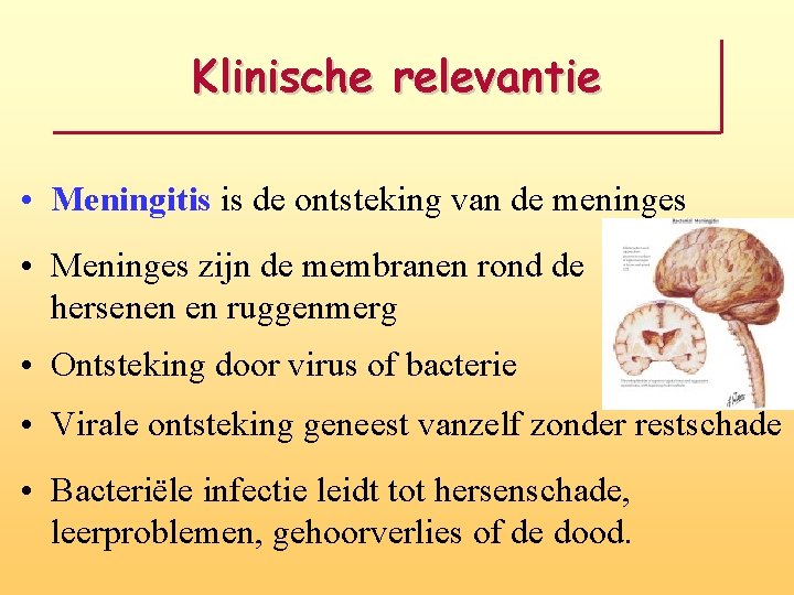 Klinische relevantie • Meningitis is de ontsteking van de meninges • Meninges zijn de