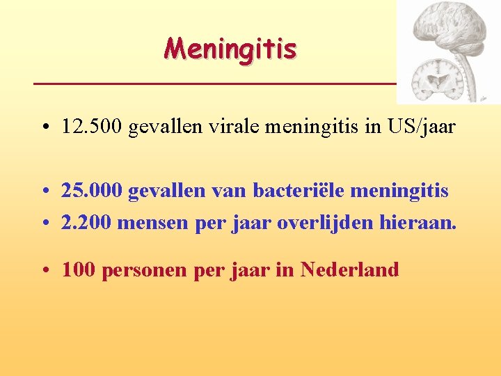 Meningitis • 12. 500 gevallen virale meningitis in US/jaar • 25. 000 gevallen van