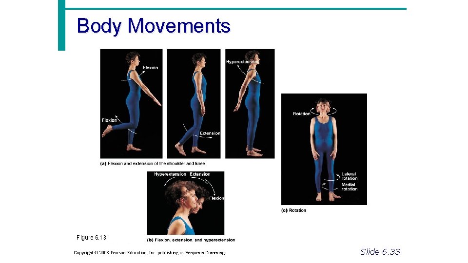 Body Movements Figure 6. 13 Copyright © 2003 Pearson Education, Inc. publishing as Benjamin