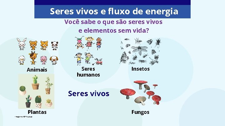 Seres vivos e fluxo de energia Você sabe o que são seres vivos e Seres vivos e fluxo de energia Você sabe o que são seres vivos e