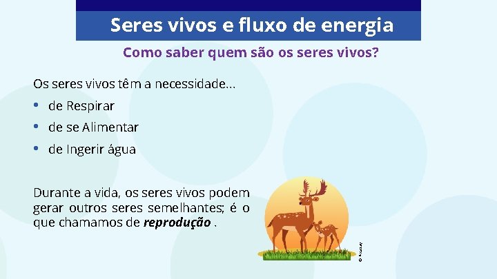 Seres vivos e fluxo de energia Como saber quem são os seres vivos? Os Seres vivos e fluxo de energia Como saber quem são os seres vivos? Os