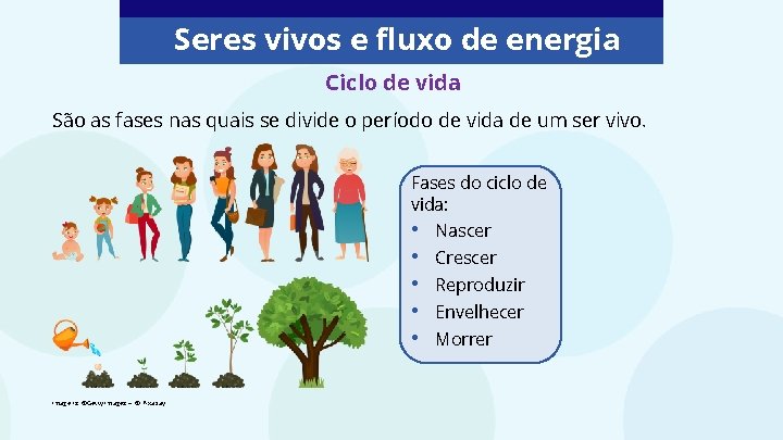 Seres vivos e fluxo de energia Ciclo de vida São as fases nas quais Seres vivos e fluxo de energia Ciclo de vida São as fases nas quais