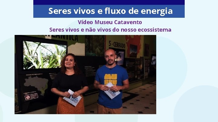 Seres vivos e fluxo de energia Vídeo Museu Catavento Seres vivos e não vivos Seres vivos e fluxo de energia Vídeo Museu Catavento Seres vivos e não vivos