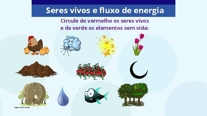 Seres vivos e fluxo de energia Circule de vermelho os seres vivos e de Seres vivos e fluxo de energia Circule de vermelho os seres vivos e de