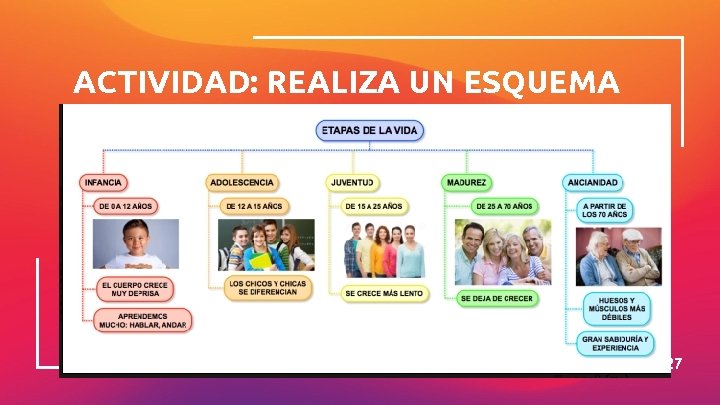 ACTIVIDAD: REALIZA UN ESQUEMA 27 