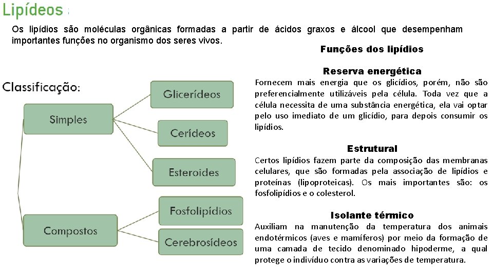 Os lipídios são moléculas orgânicas formadas a partir de ácidos graxos e álcool que