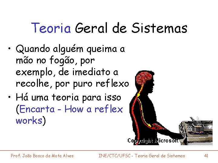 Teoria Geral de Sistemas • Quando alguém queima a mão no fogão, por exemplo,