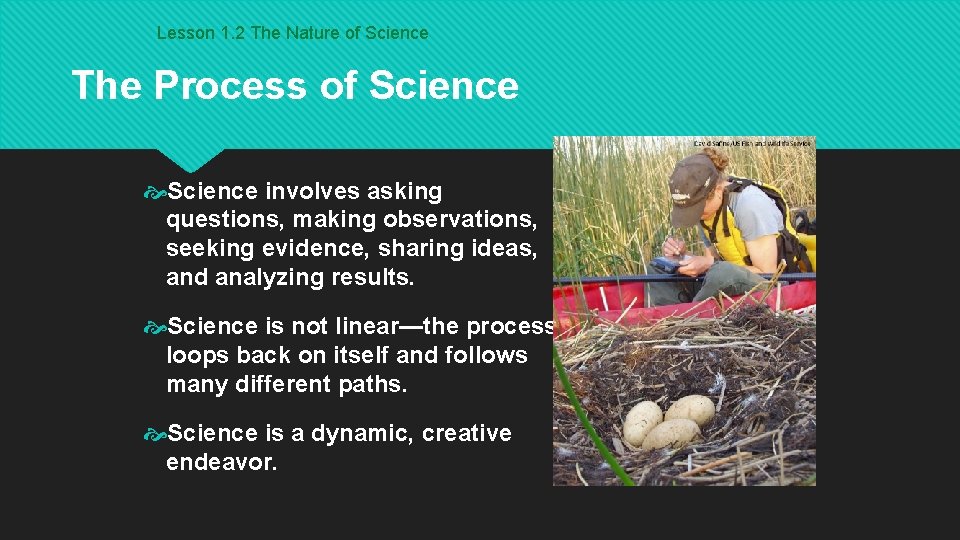 Lesson 1. 2 The Nature of Science The Process of Science involves asking questions,