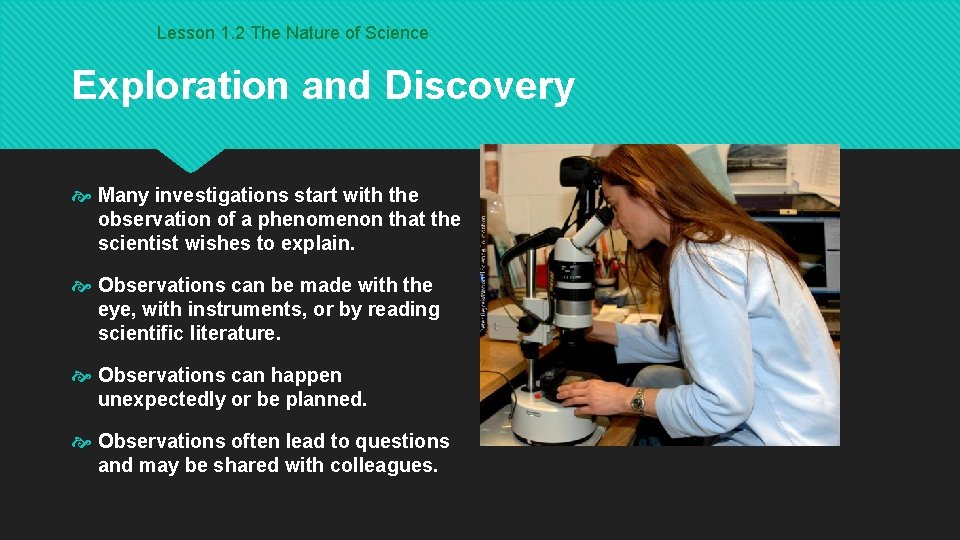 Lesson 1. 2 The Nature of Science Exploration and Discovery Many investigations start with