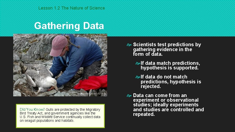 Lesson 1. 2 The Nature of Science Gathering Data Scientists test predictions by gathering