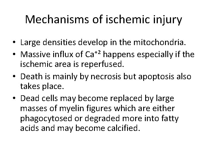 Mechanisms of ischemic injury • Large densities develop in the mitochondria. • Massive influx