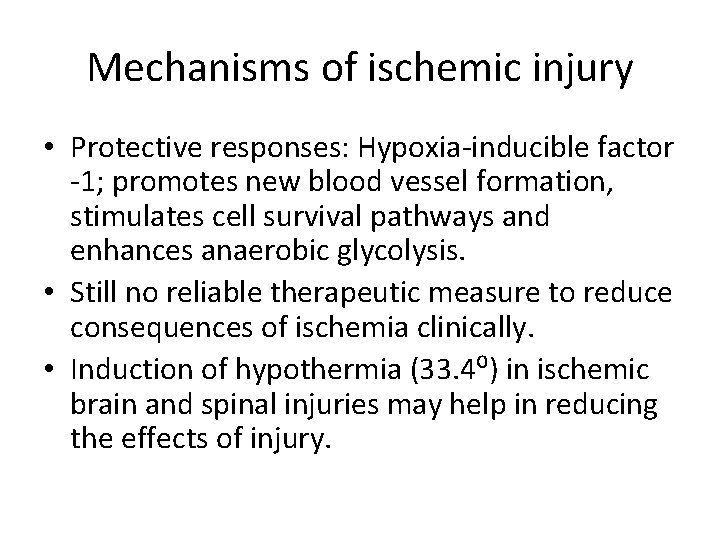 Mechanisms of ischemic injury • Protective responses: Hypoxia-inducible factor -1; promotes new blood vessel