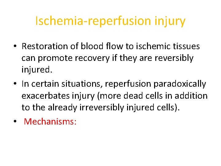 Ischemia-reperfusion injury • Restoration of blood flow to ischemic tissues can promote recovery if