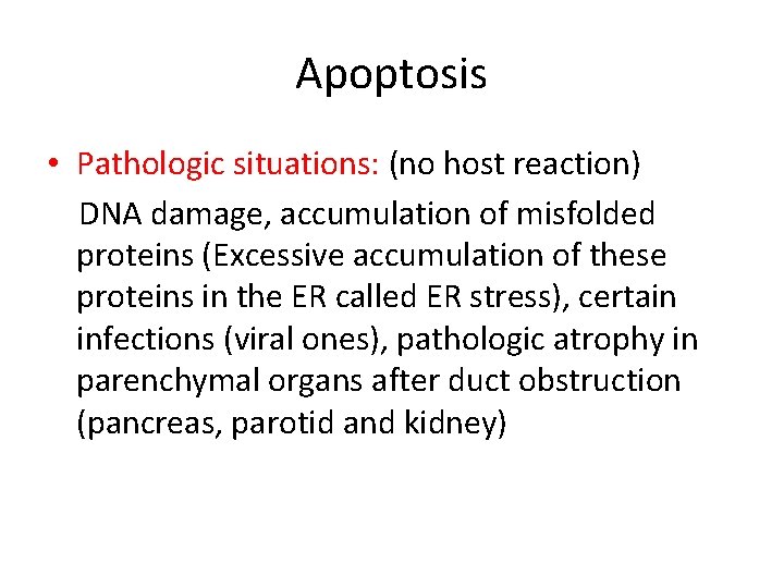 Apoptosis • Pathologic situations: (no host reaction) DNA damage, accumulation of misfolded proteins (Excessive