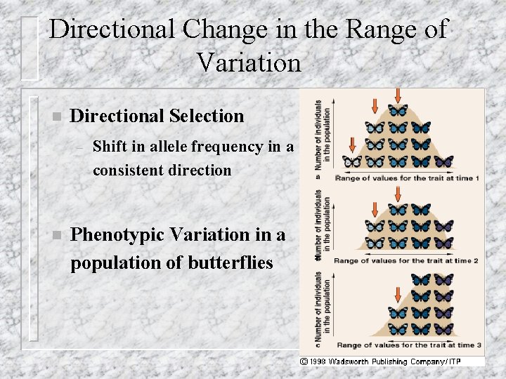 Directional Change in the Range of Variation n Directional Selection – n Shift in