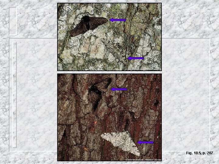 Fig. 18. 5, p. 287 