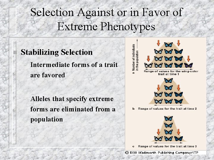 Selection Against or in Favor of Extreme Phenotypes n Stabilizing Selection – Intermediate forms