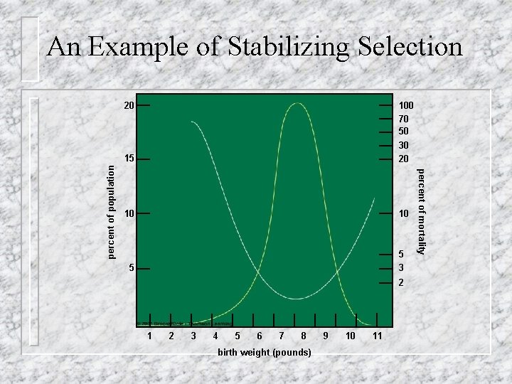 An Example of Stabilizing Selection 100 70 50 15 30 20 10 10 5