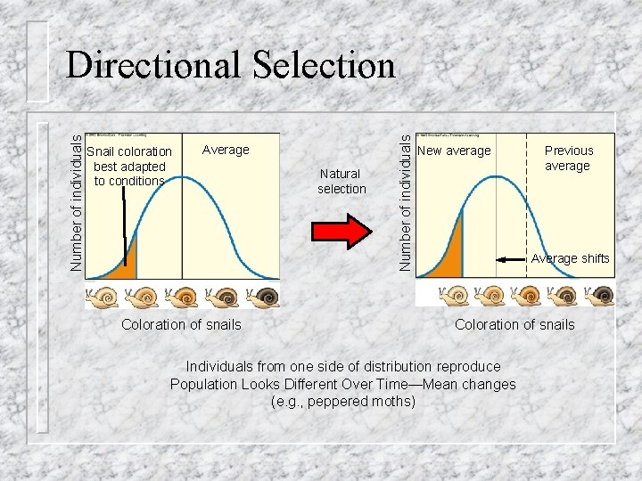 Snail coloration best adapted to conditions Average Coloration of snails Natural selection Number of
