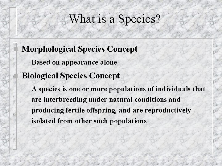 What is a Species? n Morphological Species Concept – n Based on appearance alone