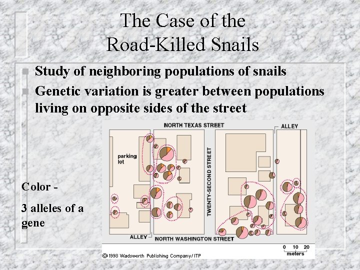 The Case of the Road-Killed Snails n n Study of neighboring populations of snails