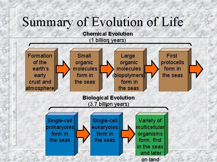 Summary of Evolution of Life Chemical Evolution (1 billion years) Formation of the earth’s