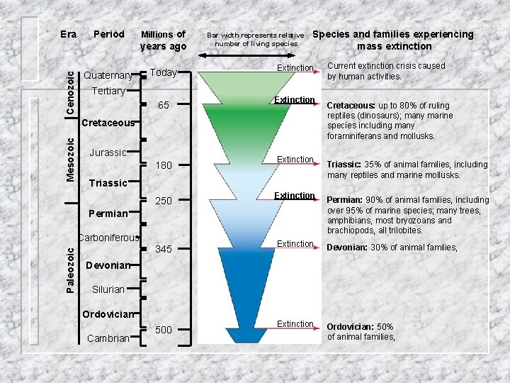 Era Period Millions of Cenozoic years ago Quaternary Today Tertiary 65 Bar width represents